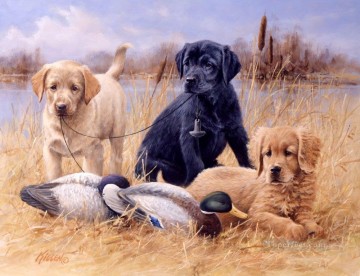 am279D13 animales perros Pinturas al óleo